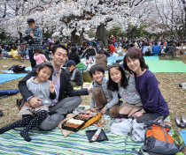 Hanami in Tokyo with kids Childs Play Japan Times